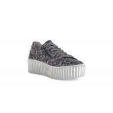 Gabor Print Trainer Gabor Print Trainer