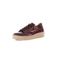 Gabor Trainer Gabor Trainer