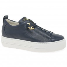 Paul Green Trainer Paul Green Trainer