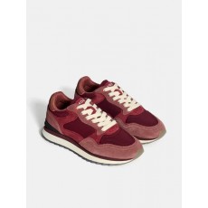 Hoff Trainers Hoff Trainers