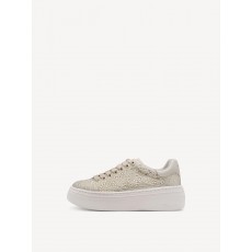 Tamaris Trainer Tamaris Trainer