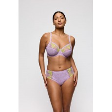 PrimaDinna Ixia Bra PrimaDinna Ixia Bra