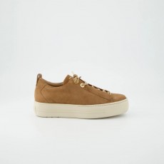 Paul Green Trainer Paul Green Trainer