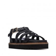 Carmela Gladiator Sandal Carmela Gladiator Sandal