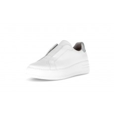 Gabor Trainer Gabor Trainer