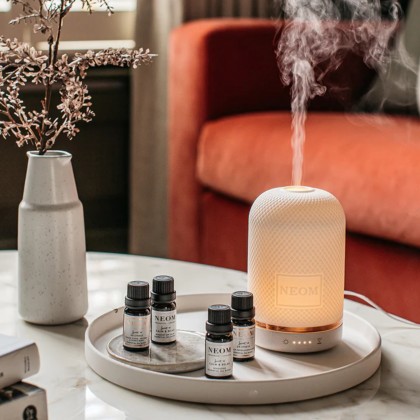 Diffusers & Room Fragrance