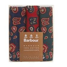 Barbour Paisley Hankie