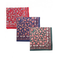 Barbour Paisley Hankie