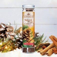 Fir Scentsicles-Spiced Pine Cones