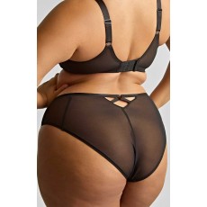 Panache Ella High Leg Brief Panache Ella High Leg Brief