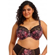 Elomi Morgan Bra Elomi Morgan Bra