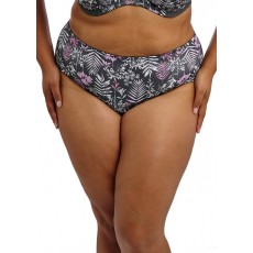 Goddess Kayla Brief Goddess Kayla Brief