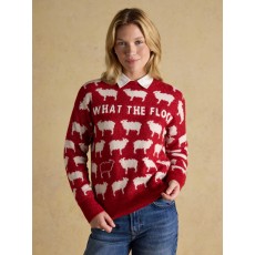 Joules What the Flock Jumper Joules What the Flock Jumper