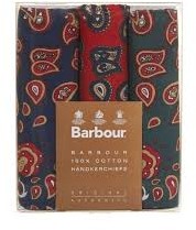 Barbour Paisley Hankie