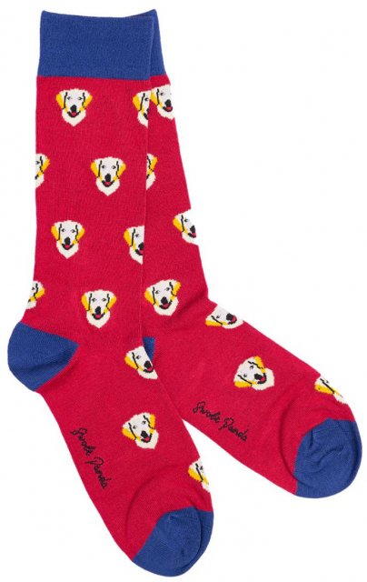 Swole Panda Golden Retriver Socks