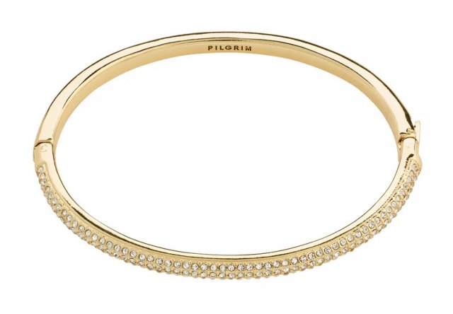 Pilgrim Focus Recycled Bangle Gold-Plated