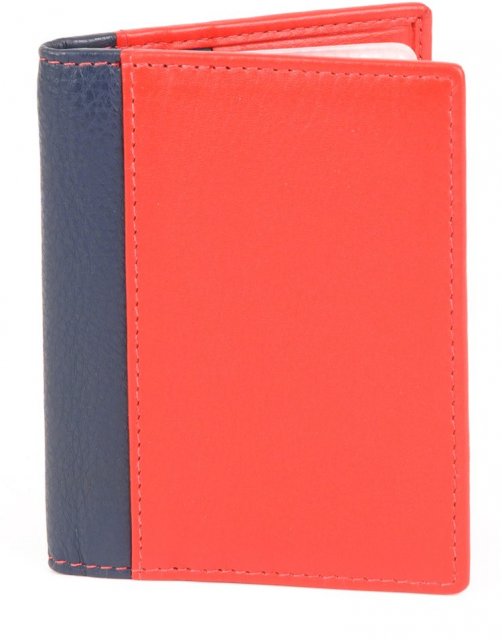 Golunski Credit Card Holder