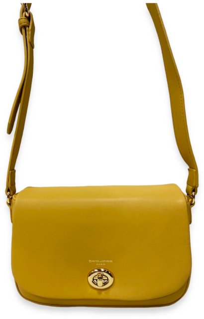 David Jones Handbag