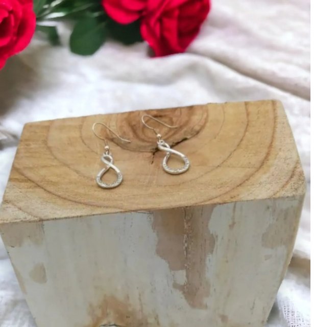 Jess & Lou Delicate Infinity Hook Earrings