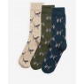 Barbour Pointer Dog Socks Giftset