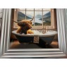 Highland Cow in tub picture